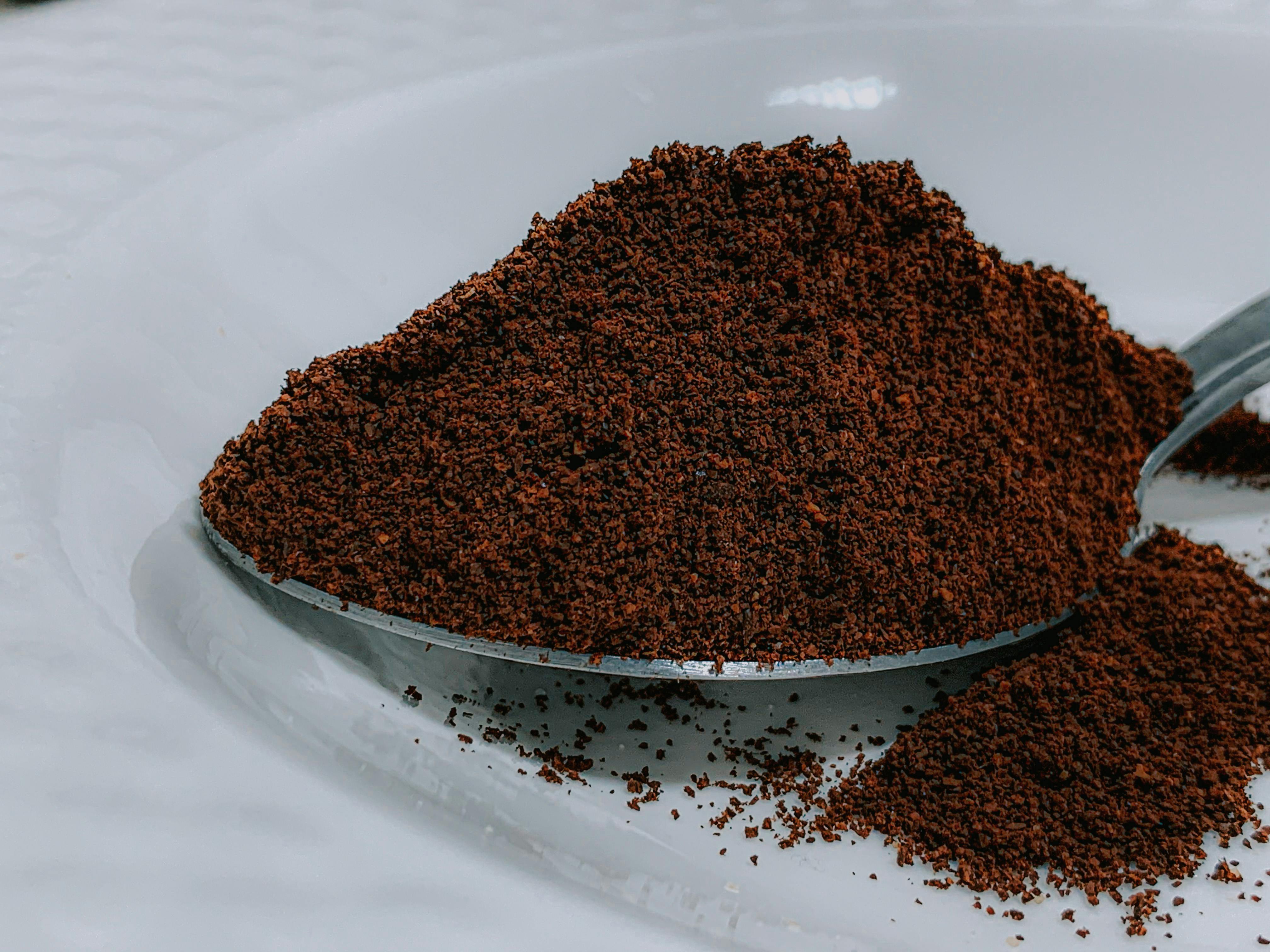 Vanilla Powder