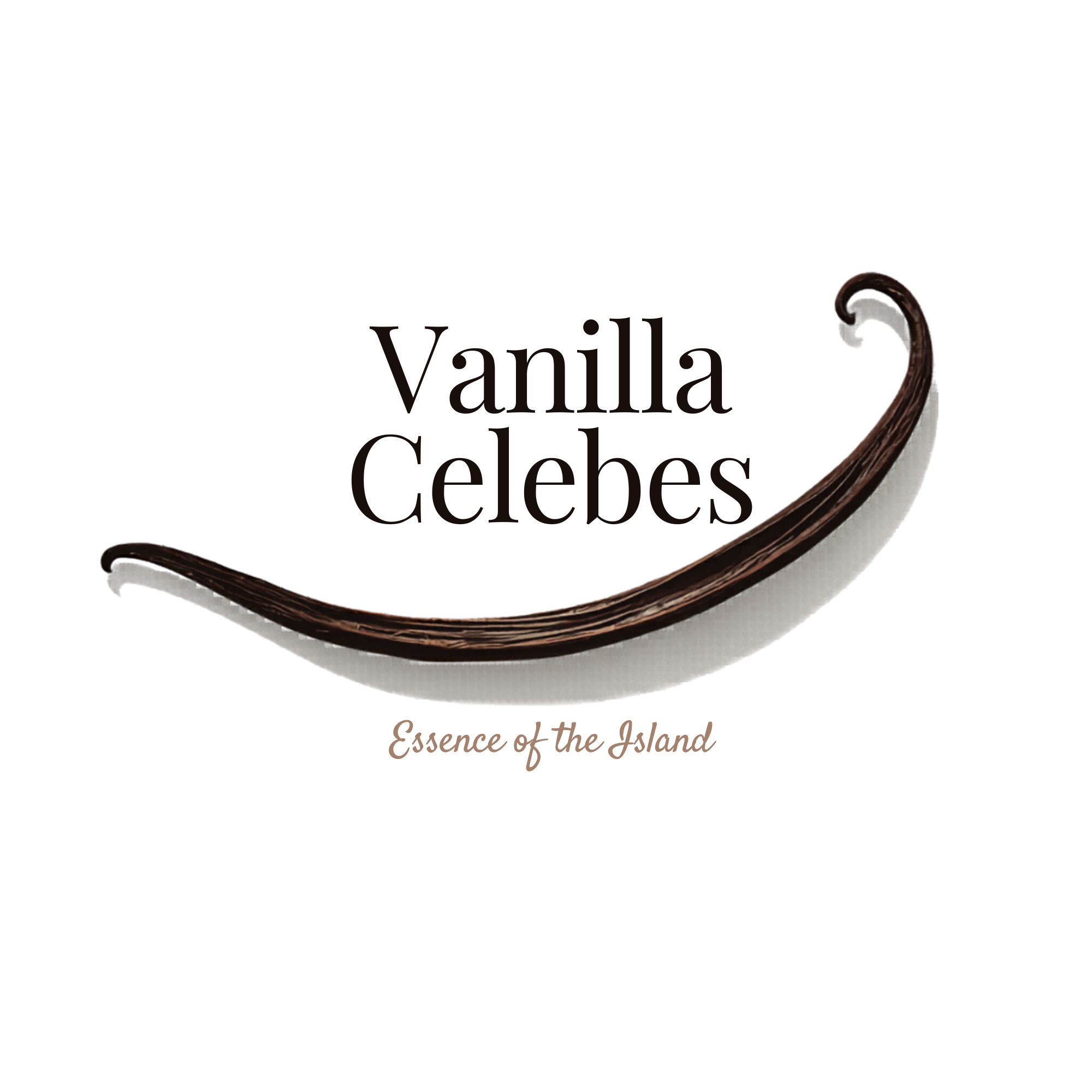 Vanilla Beans Celebes