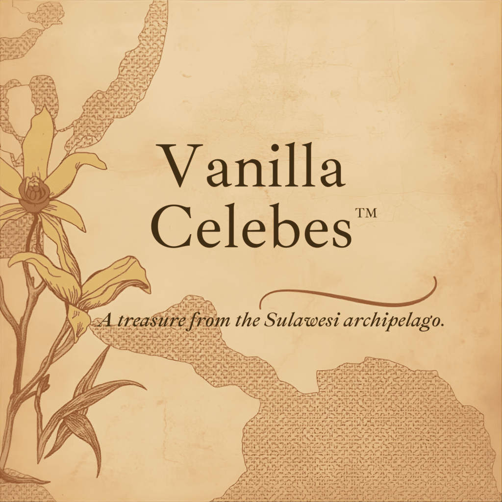 Vanilla Beans from Celebes Island Indonesia